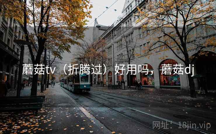 蘑菇tv(折腾过)好用吗,蘑菇dj 蘑菇tv(折腾过)好用吗,蘑菇dj